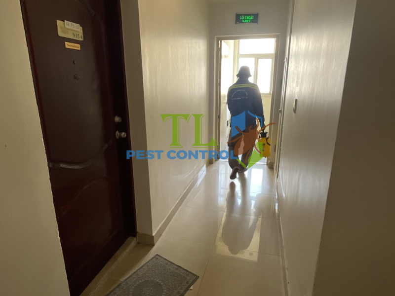 Quy trình các bước diệt mối tận gốc tại phường Hòa Bình của Trần Long