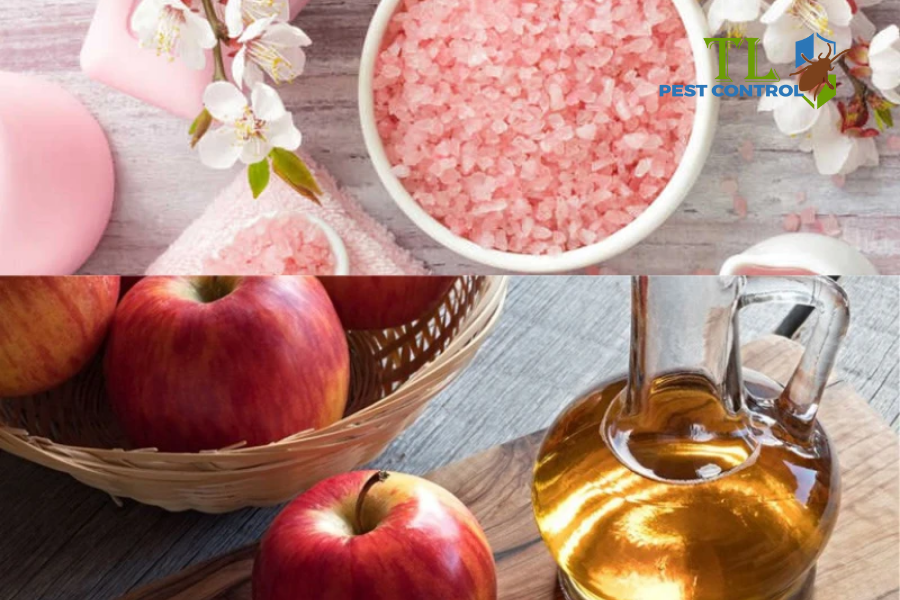 Giấm táo đuổi muỗi 