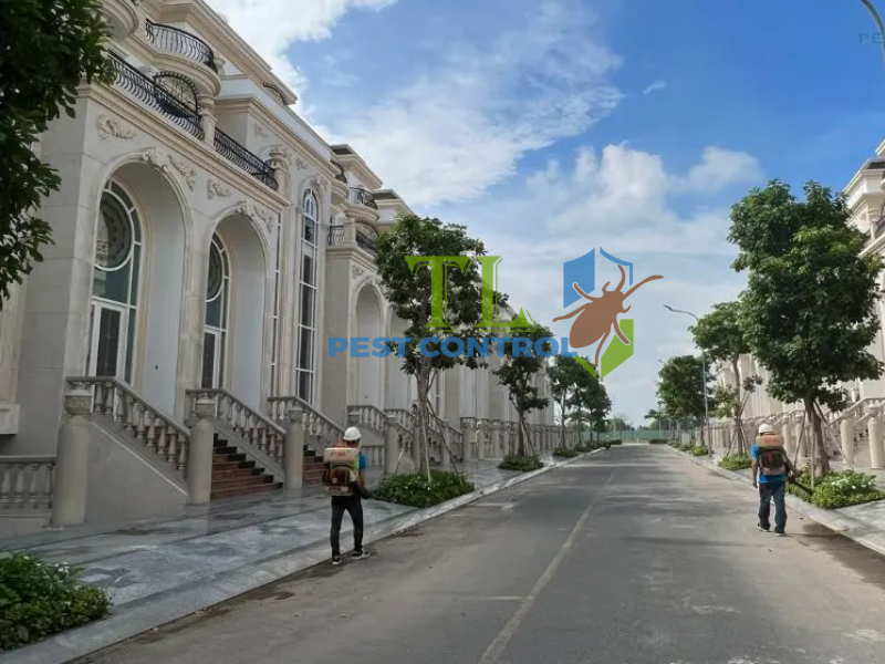 Dịch vụ phòng chống mối công trình tại Phường Bình Thạnh