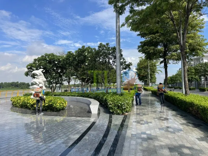 Quy trình diệt muỗi chuyên nghiệp cho công viên của Trần Long