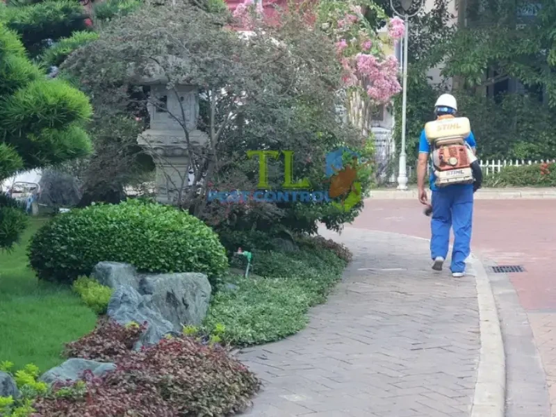 Kỹ thuật viên đang khảo sát Kỹ thuật viên đang khảo sát