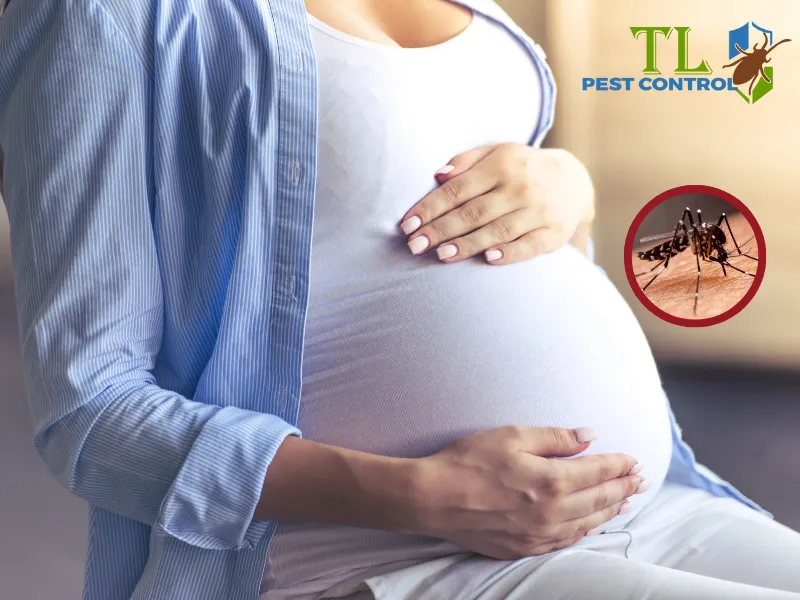 Mặc quần áo dài tay sáng màu để chống muỗi đốt
