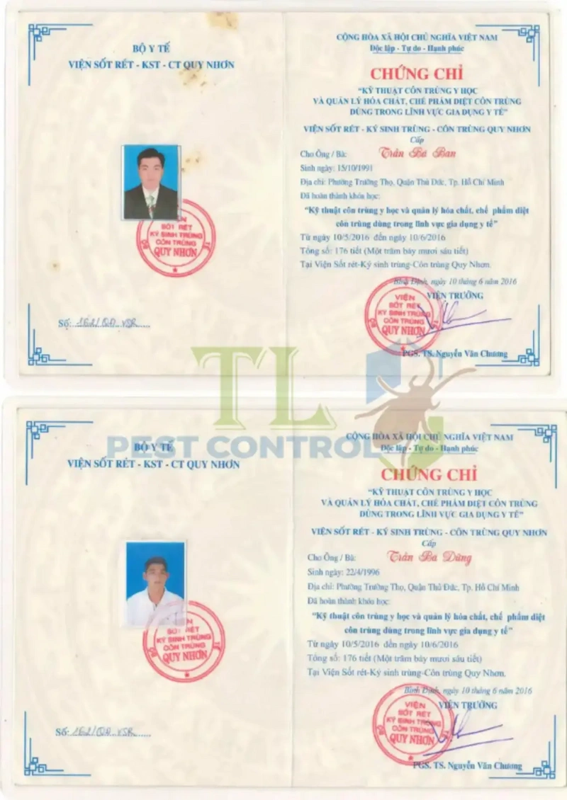 dịch vụ diệt mối công ty