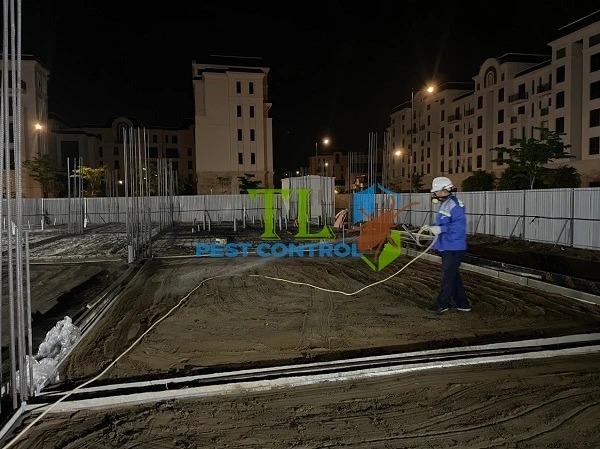 Phun phòng chống mối cho công trình 