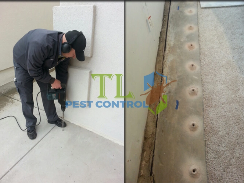 diệt mối dưới nền nhà