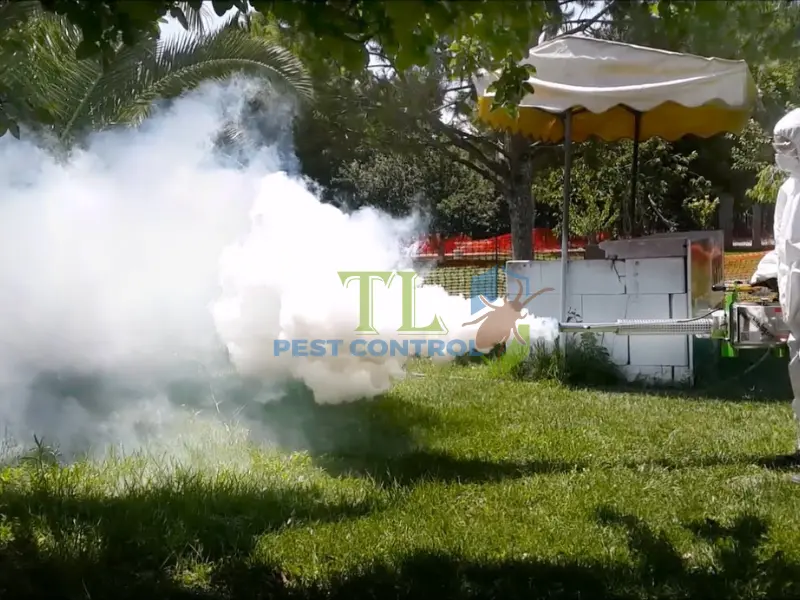 Phun mù nhiệt (Thermal Fogging)