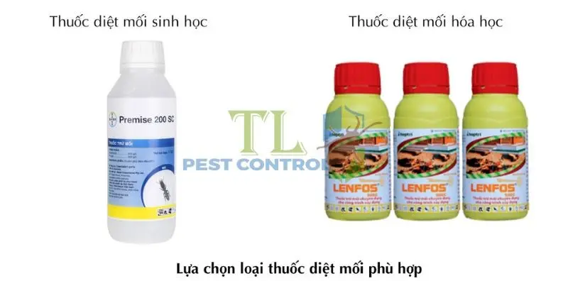 Lựa chọn loại thuốc diệt mối phù hợp