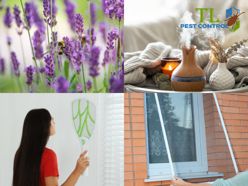 Sử dụng các biện pháp tự nhiên và vật lý chống muỗi cho bé