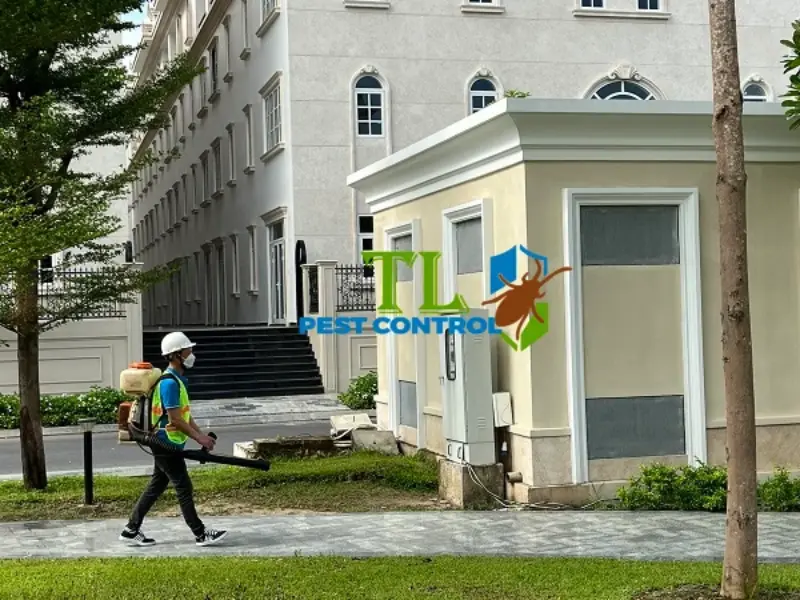 Trần Long luôn đặt uy tín và sự an toàn của bạn lên hàng đầu 