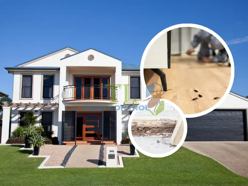 diệt mối nhà dân diệt mối nhà dân