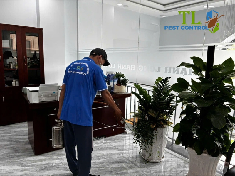 phun thuốc diệt mối có cần cách ly không