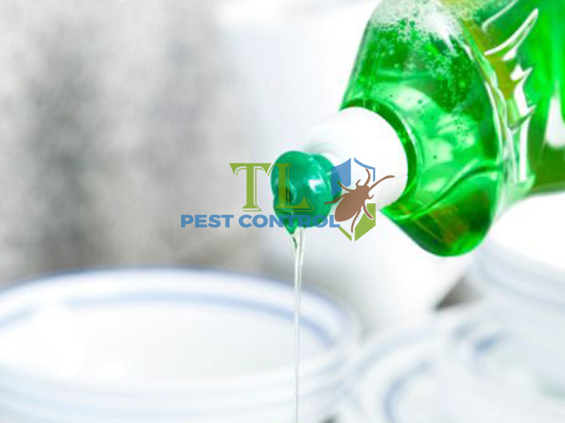 Sử dụng nước xà phòng diệt kiến