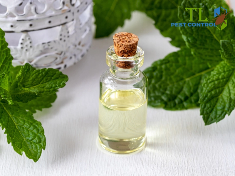 Sử dụng các sản phẩm xua đuổi muỗi dạng xịt hoặc đốt