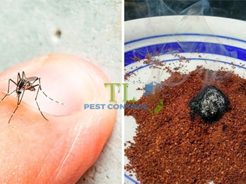 cách đuổi muỗi bằng cà phê cách đuổi muỗi bằng cà phê