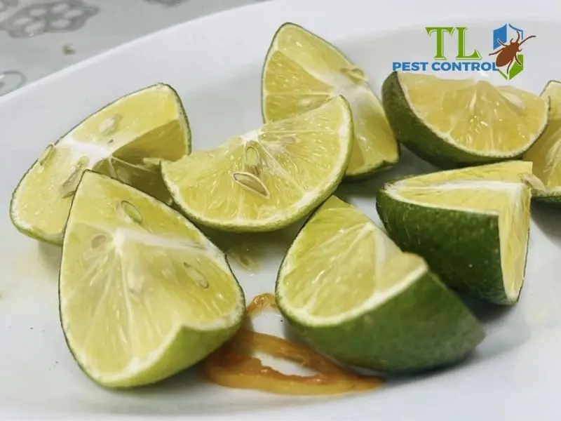 cách đuổi muỗi bằng chanh