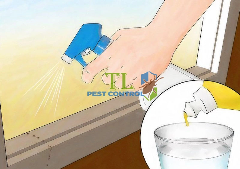 diệt kiến bằng nước rửa chén