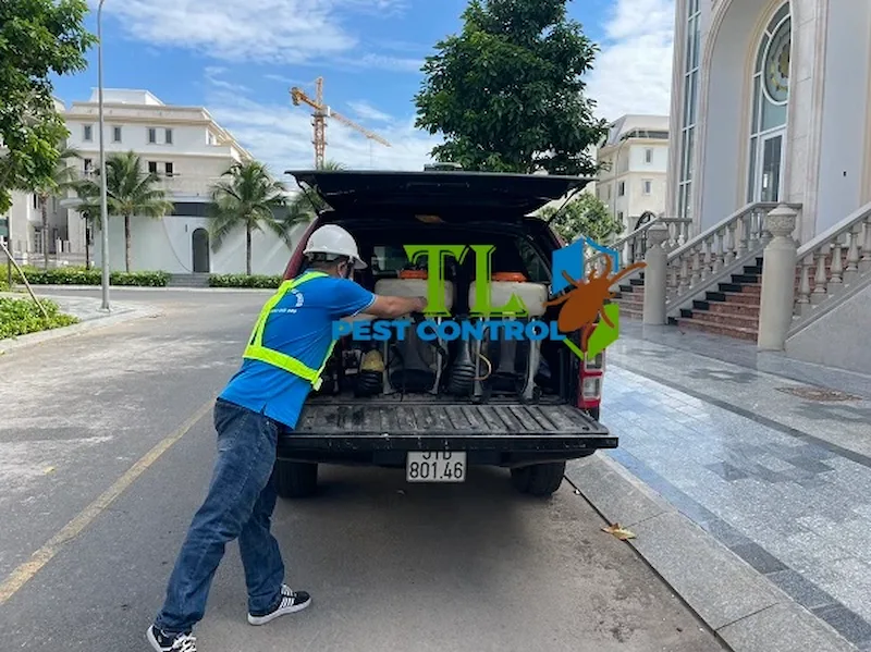 dịch vụ phòng chống mối dịch vụ phòng chống mối