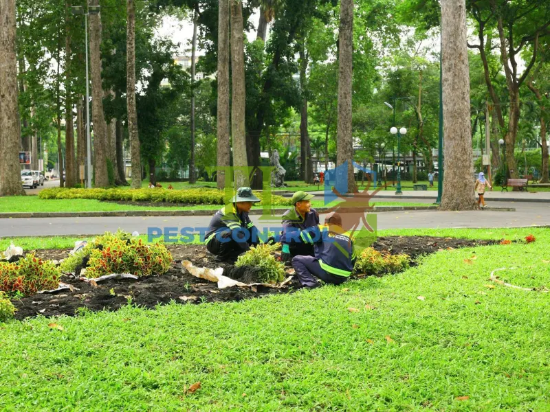 diệt muỗi công viên diệt muỗi công viên