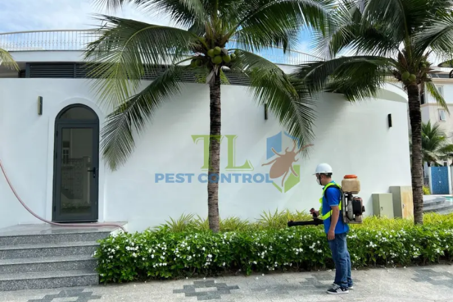 Thời điểm cần đến dịch vụ diệt muỗi chuyên nghiệp từ Trần Long