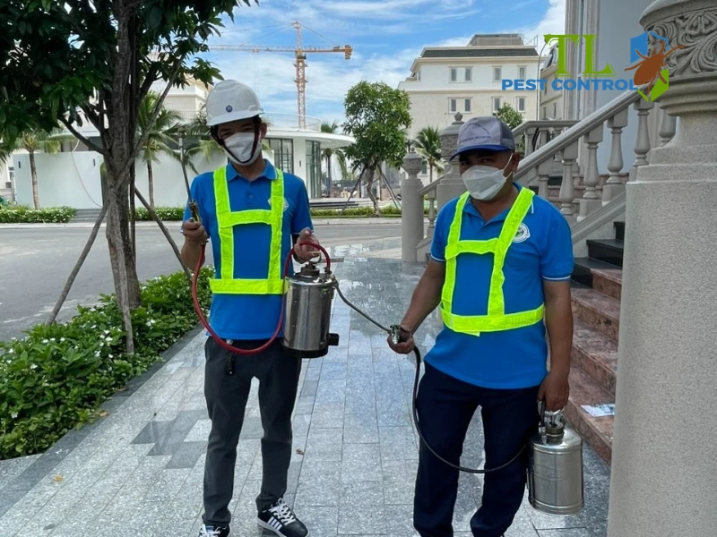diệt mối bao lâu thì hết