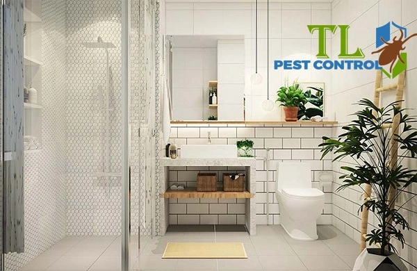 cách diệt côn trùng trong nhà vệ sinh