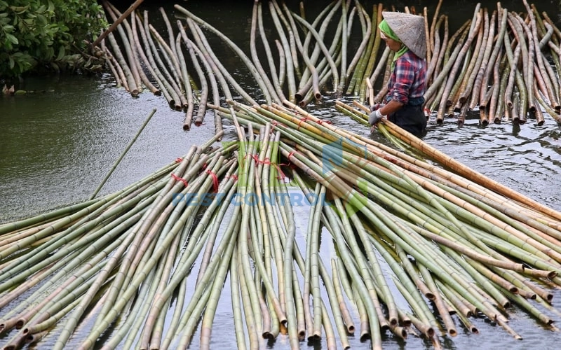 Ngâm nước hoặc ngâm bùn