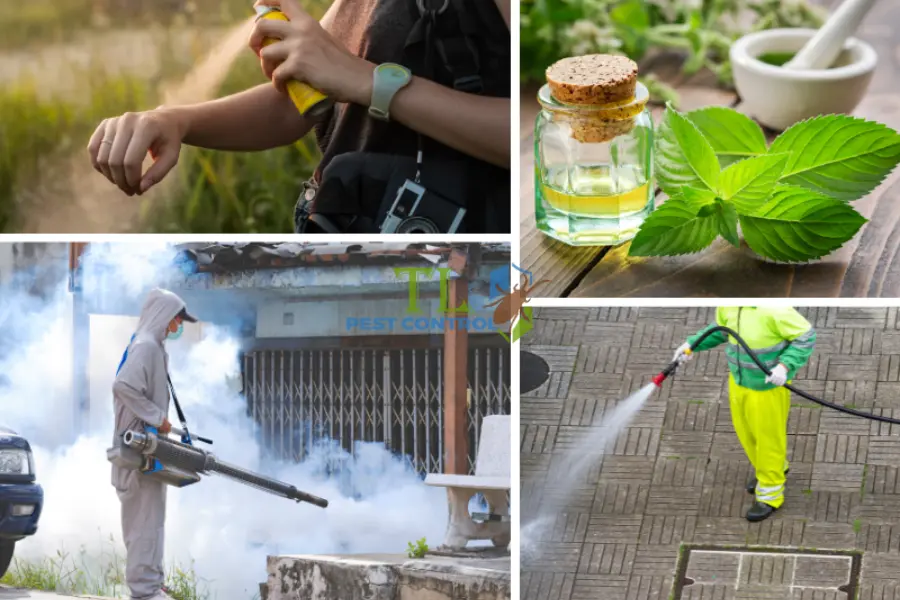 Muỗi Có Sợ Ánh Sáng Không? Sự Thật Và Cách Kiểm Soát Hiệu Quả