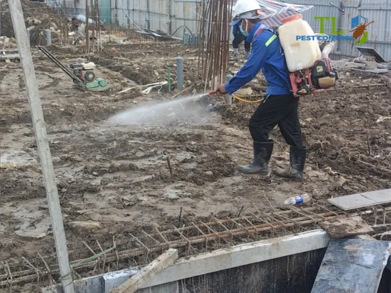 diệt mối quận Bình Tân