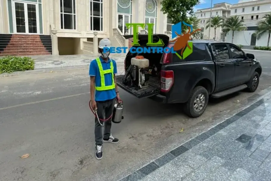 Báo Giá Dịch Vụ Diệt Muỗi Bình Dương Giá Tốt Nhất Tận Gốc, Uy Tín