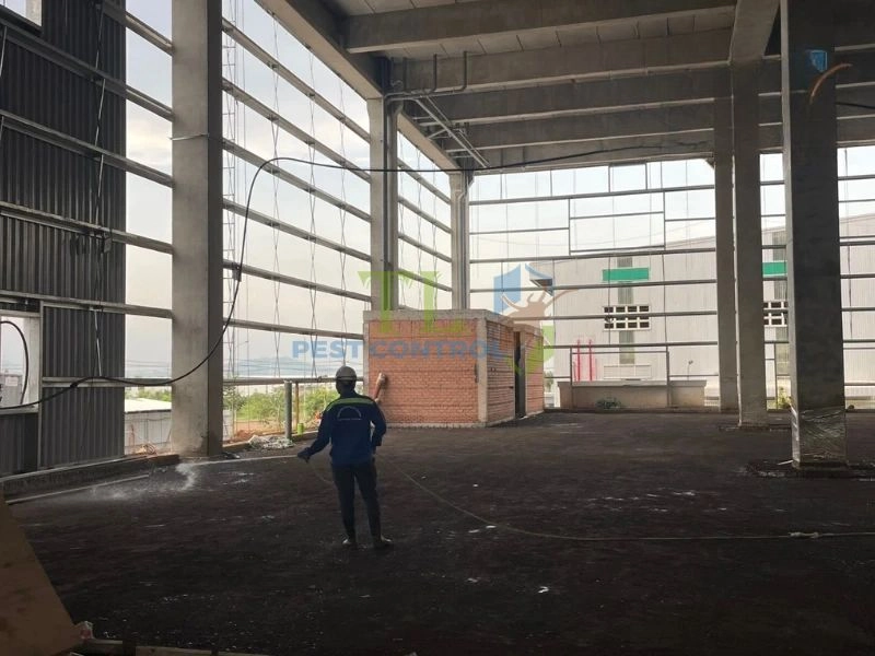 diệt mối uy tín