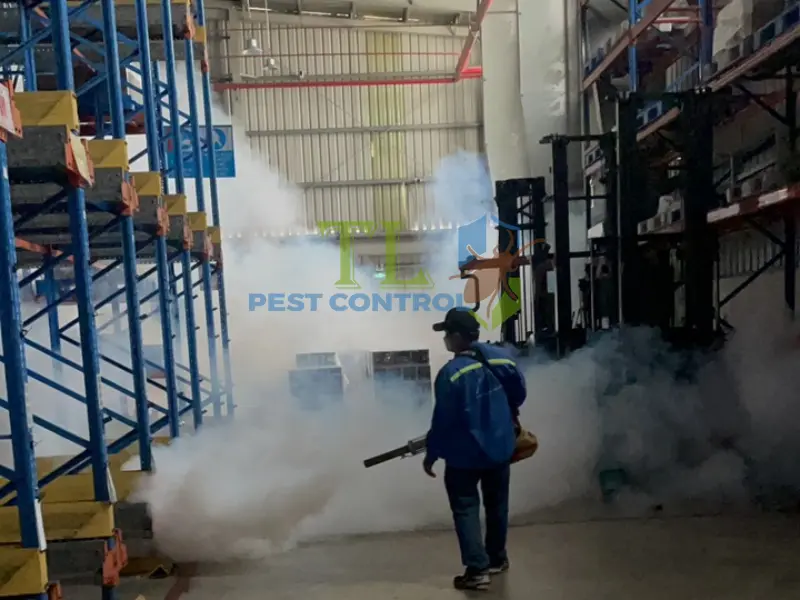 Thi công diệt mối theo đúng tiêu chuẩn kỹ thuật