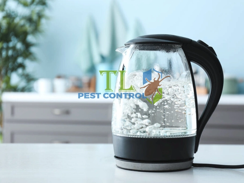 cách diệt kiến lửa trong đất