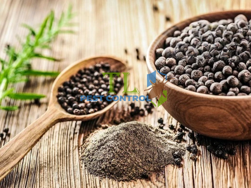 Diệt kiến bằng bột gia vị