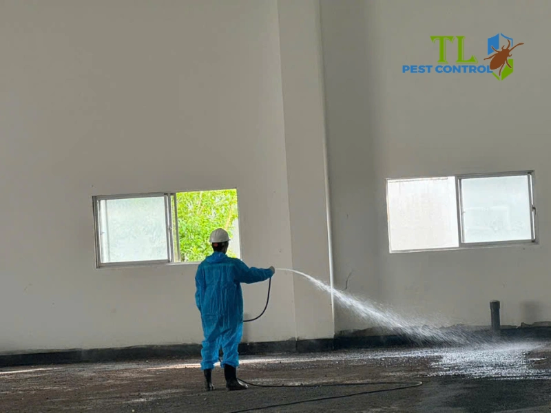 dịch vụ diệt mối quận 3