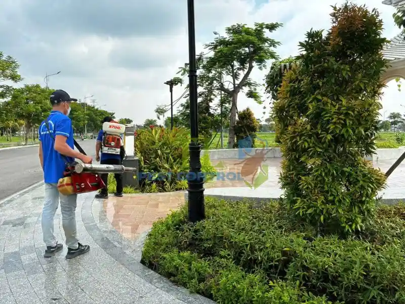 Phun thuốc diệt muỗi bao lâu một lần