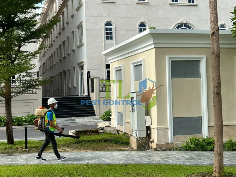 mối bay vào nhà mối bay vào nhà