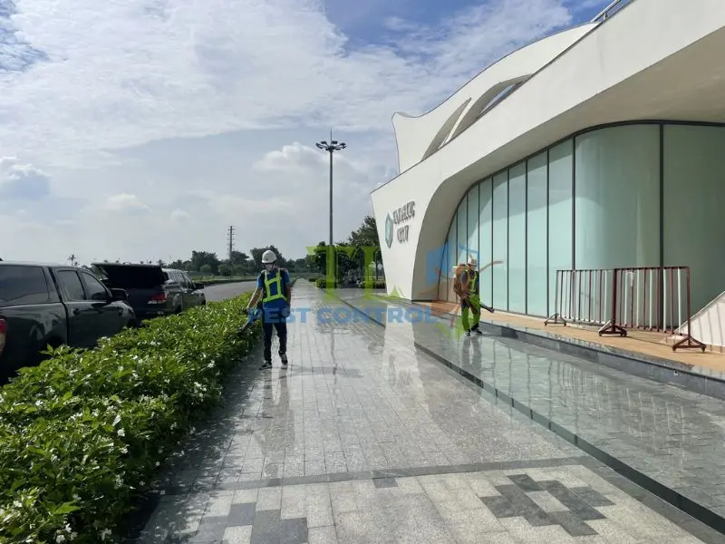 Lợi ích khi lựa chọn dịch vụ diệt muỗi Trần Long cho công viên
