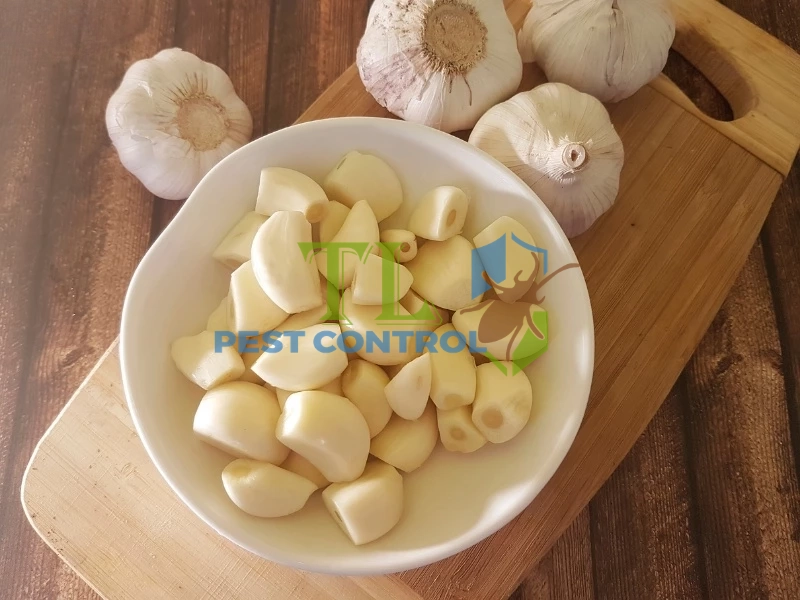 cách đuổi ong ruồi