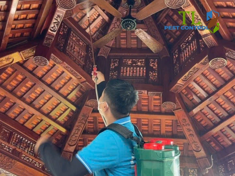 Phòng chống mối trước và sau khi xây