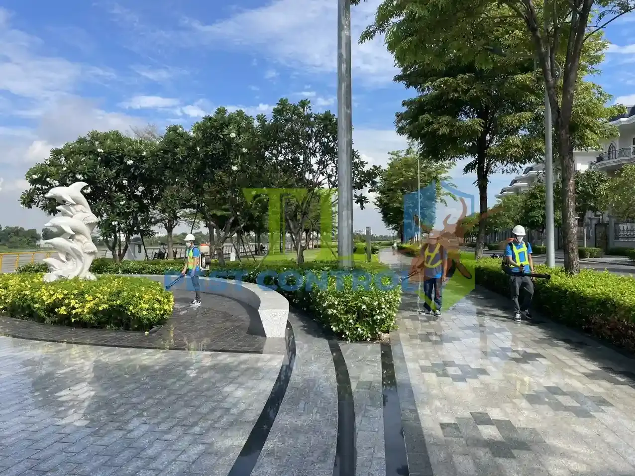 Cam kết chất lượng dịch vụ diệt mối phường Phú Lâm của Trần Long