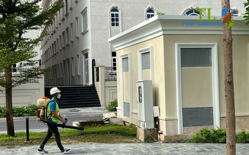 Dịch vụ diệt côn trùng chuyên nghiệp Trần Long