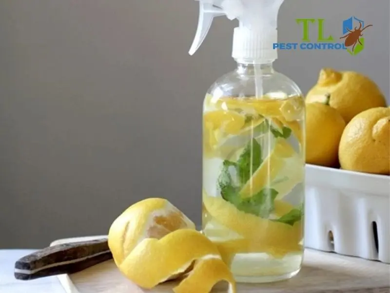 cách đuổi muỗi bằng chanh