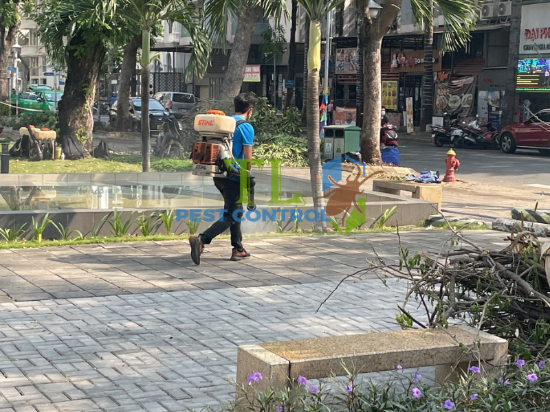 Địa chỉ cung cấp dịch vụ diệt mối uy tín tại phường Diên Hồng