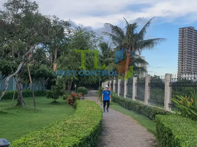 dịch vụ phun muỗi