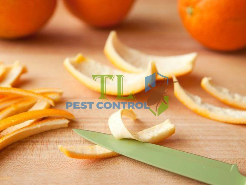 tinh dầu cam diệt mọt gỗ