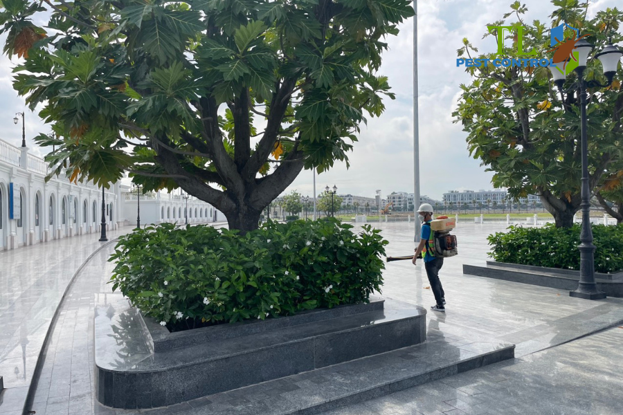 Thời điểm thích hợp tìm đến giải pháp diệt muỗi chuyên nghiệp