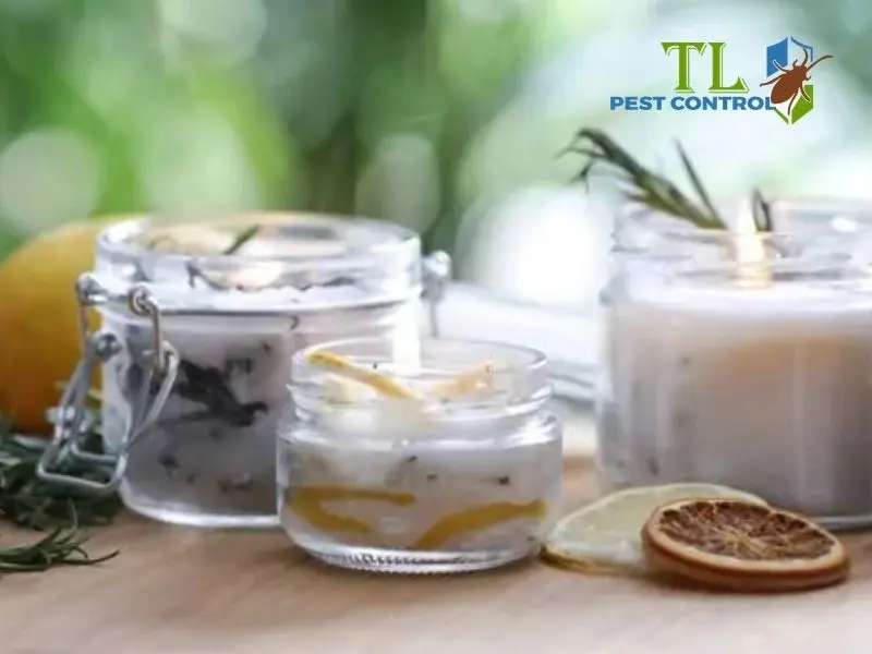 cách đuổi muỗi bằng sả chanh