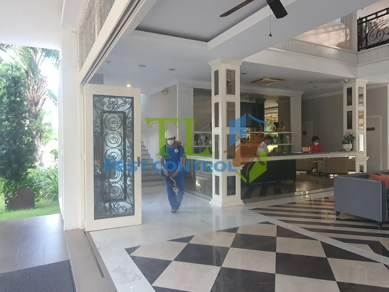 diệt mối tận gốc tại quận 7
