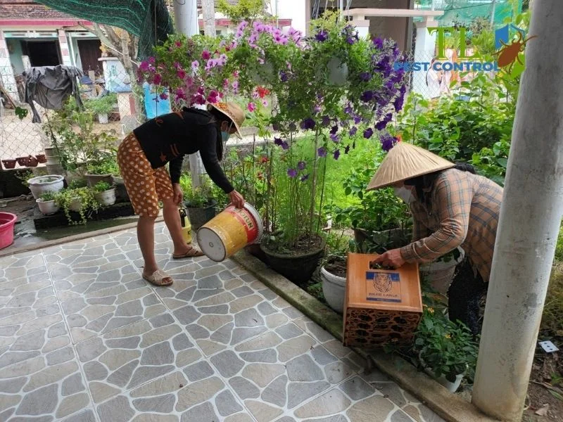 mẹo chống muỗi đốt mẹo chống muỗi đốt