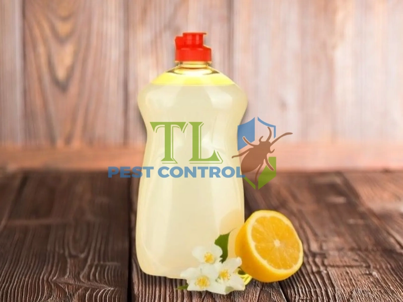 diệt mối cửa gỗ diệt mối cửa gỗ